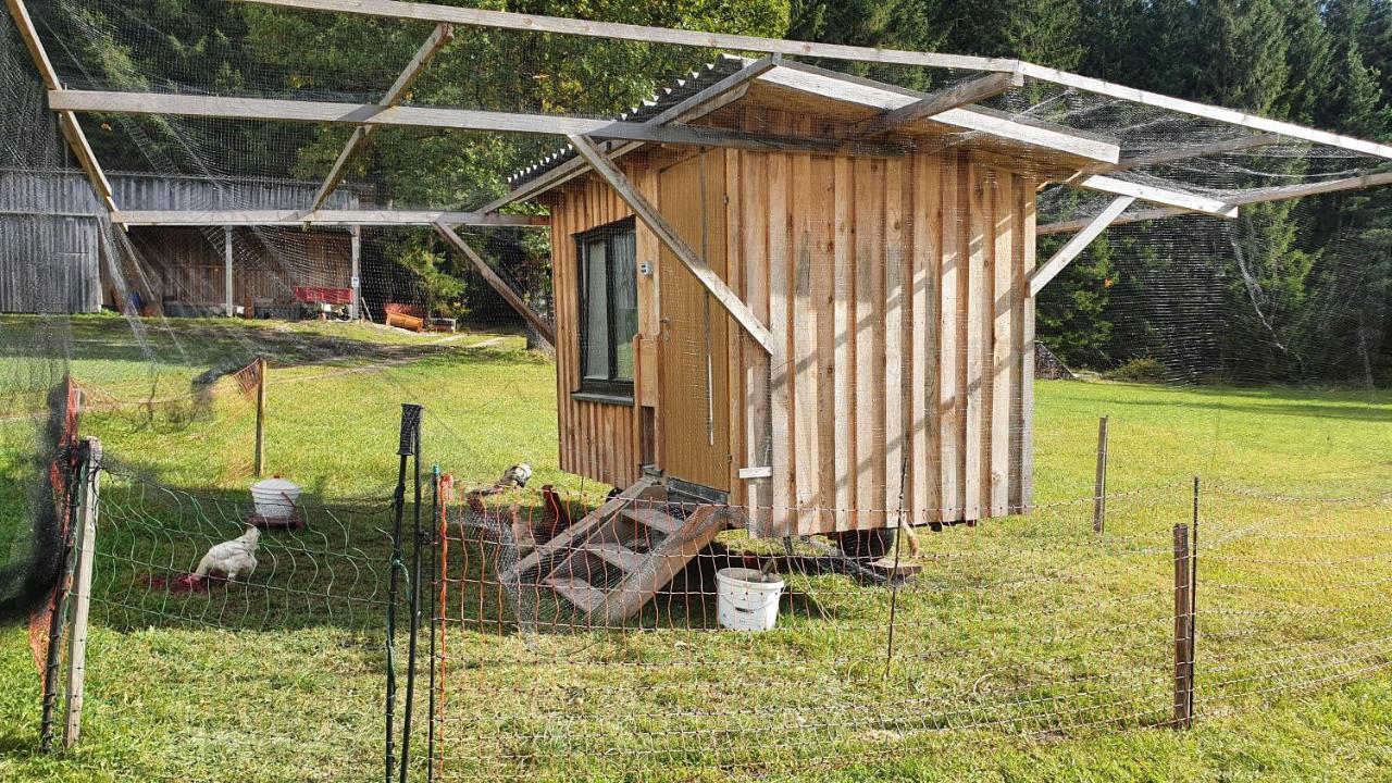 Ferienhaus Buxbaum Arbesbach Exteriör bild