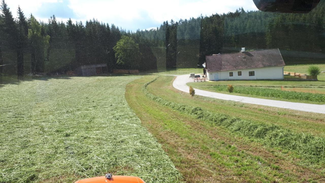 Ferienhaus Buxbaum Arbesbach Exteriör bild